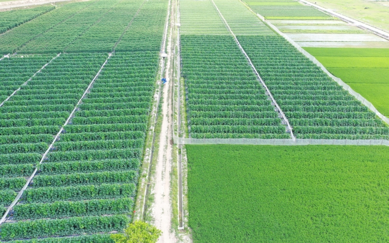 十座大中型水库除险加固工程