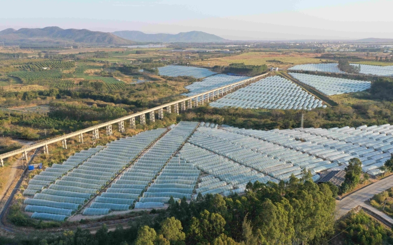 十座大中型水库除险加固工程