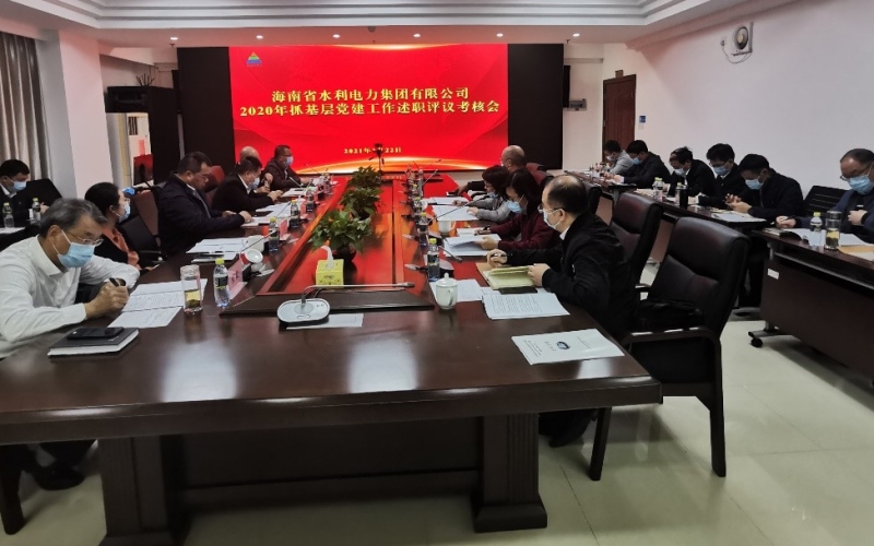 水电集团召开2020年党组织书记抓基层党建工作述职评议考核会