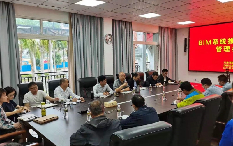 水电集团召开天角潭和琼西北项目BIM系统推进会及档案管理协调会