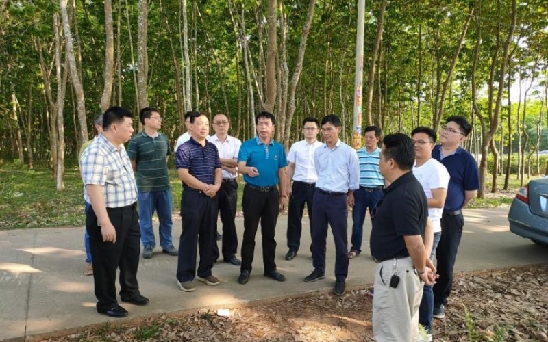 聚焦民生需求，水电集团全力推进天角潭工程移民安置