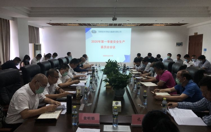 水电集团召开2020年第一季度安全生产委员会会议