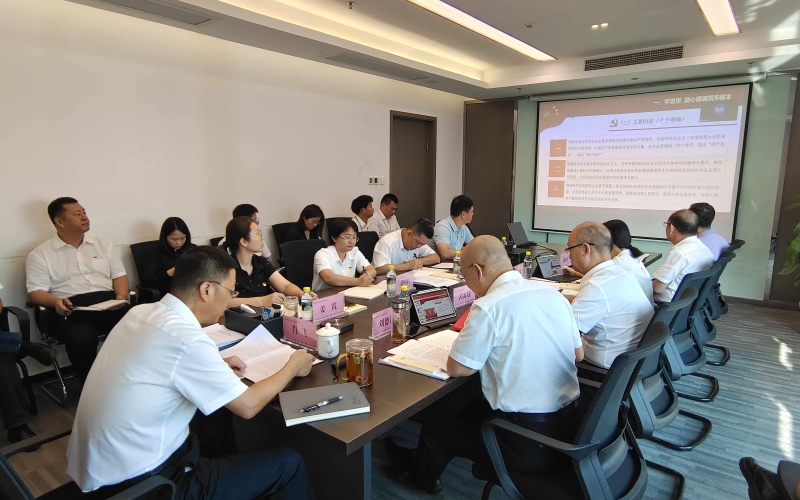 学思想 强党性 重实践 建新功  在海南自由贸易港建设中贡献水电力量—— 海南控股开展主题教育专题党课