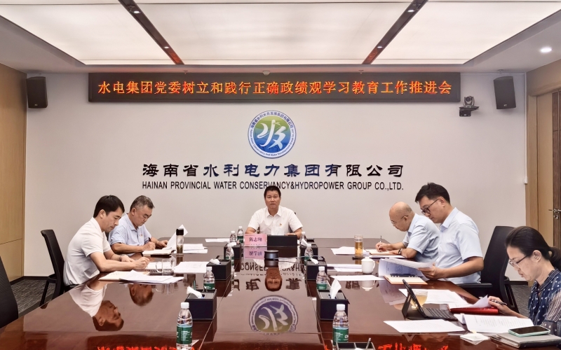 水电集团党委召开树立和践行正确政绩观学习教育工作推进会