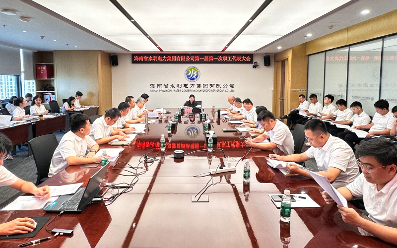 凝聚职工力量 共绘发展蓝图 水电集团召开第一届第一次职工代表大会