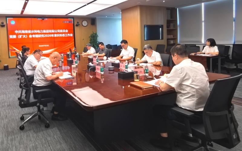 水电集团召开2026年上半年意识形态工作专题会
